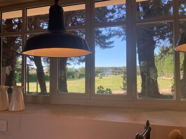 Een kamer met grote ramen, een zwarte hanglamp en uitzicht op een groen landschap.