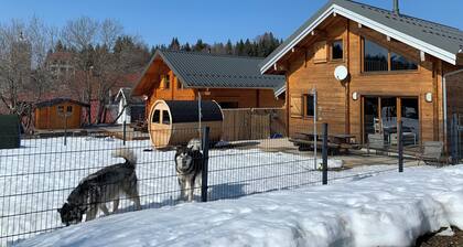Chalet de la Louve in La Pesse Dogs welcome in fenced garden