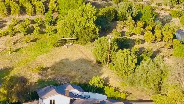 Propiedad residencial con varias casas, rodeada de abundante vegetación y árboles.