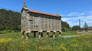 Eine steinerne Kapelle mit rotem Ziegeldach, umgeben von einem Feld gelber Blumen.