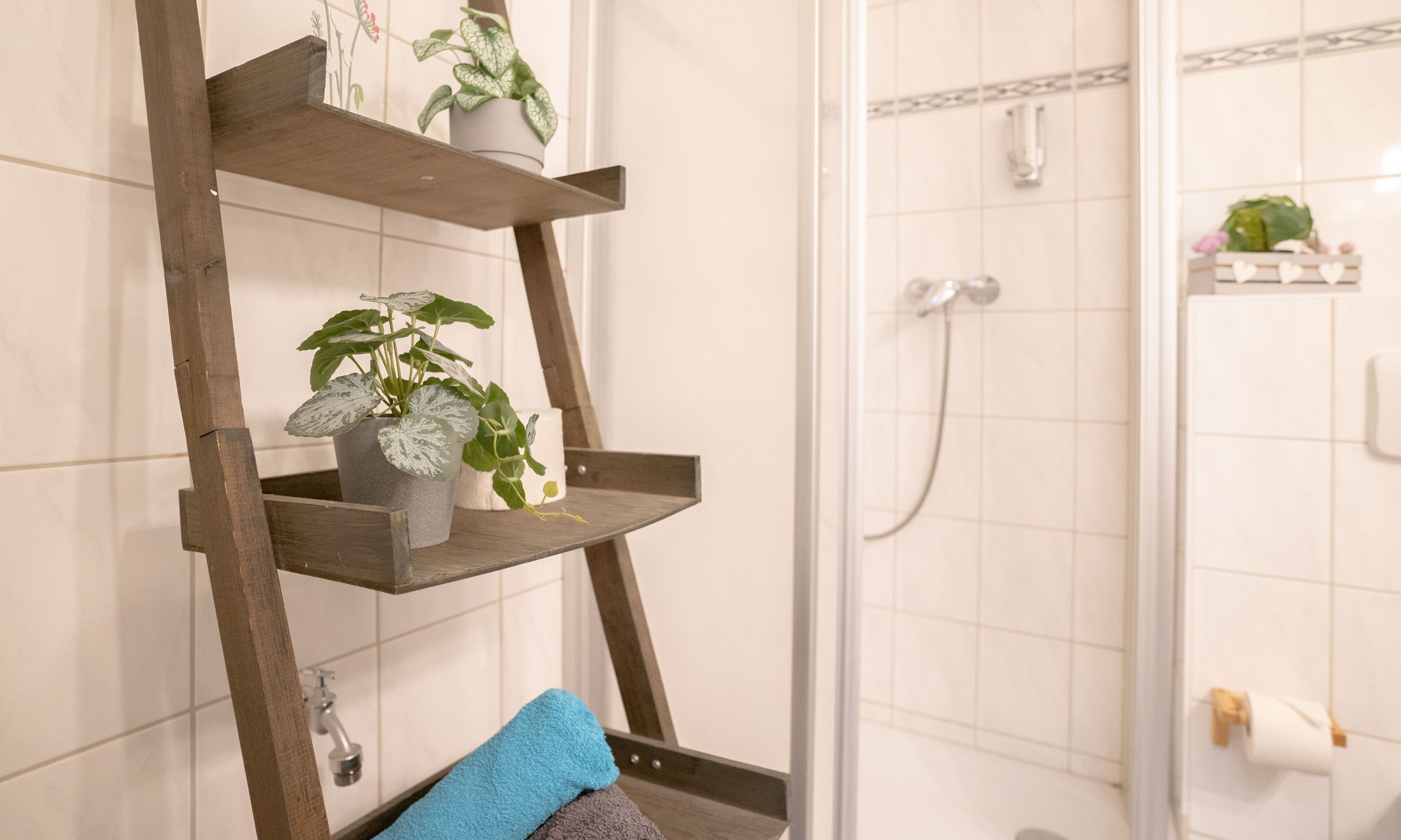 Shower, towels, soap, toilet paper