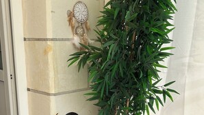 A living room with a sofa, a potted plant, a dreamcatcher, and a 'HOME' sign on a stand. - Semi-troglodyte and atypical house (Loches)
