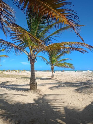Cozy apartment in Coroa do Meio, 750m from the most charming coastline in Brazil.