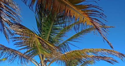 Cozy apartment in Coroa do Meio, 750m from the most charming coastline in Brazil.