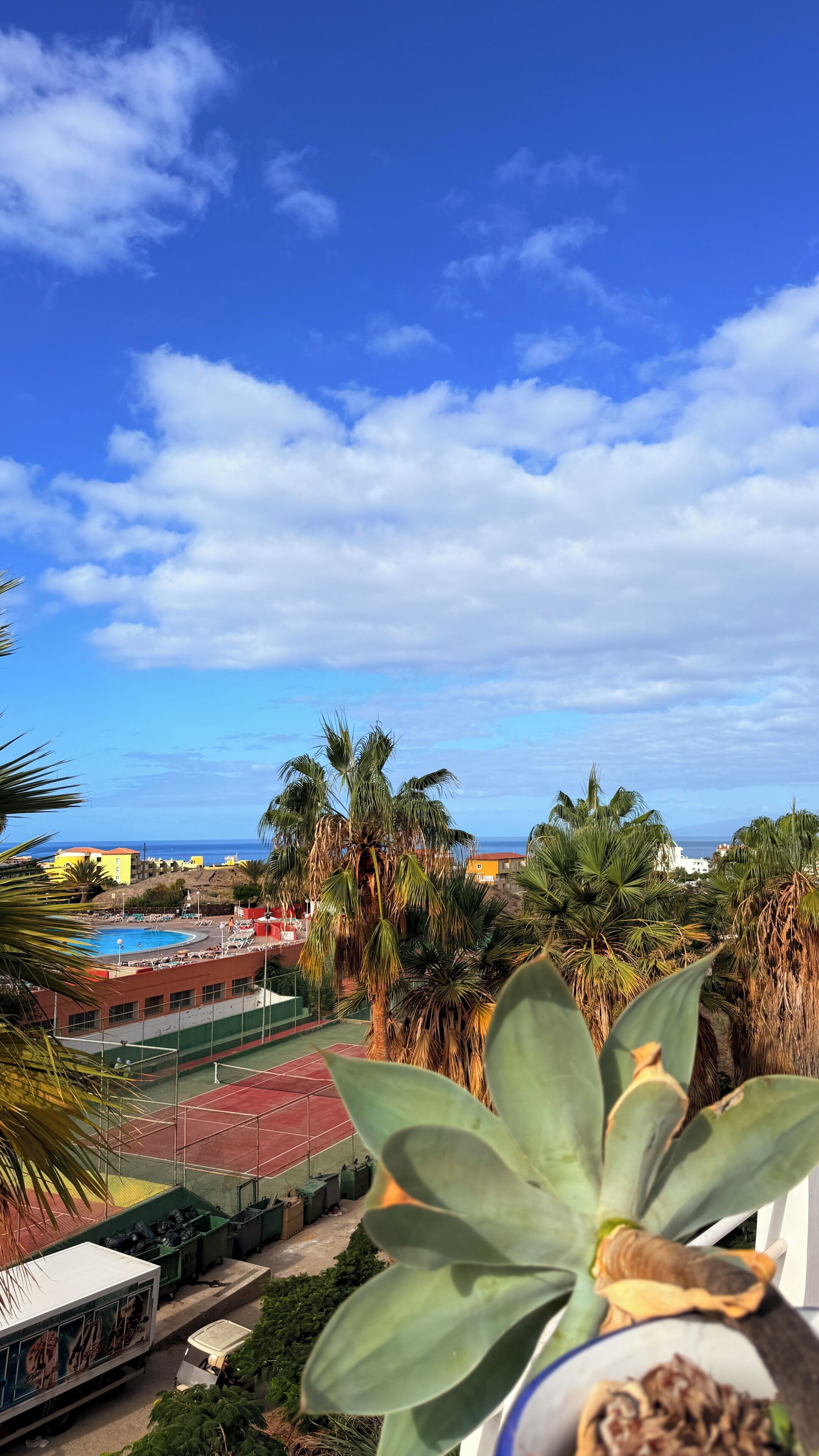 Blick auf ein Hotel mit Pool, Palmen und blauem Himmel.