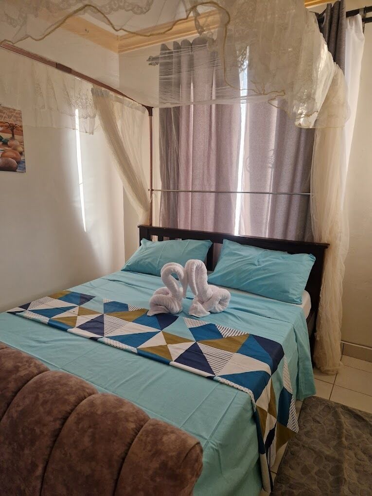 Deluxe Apartment, City View