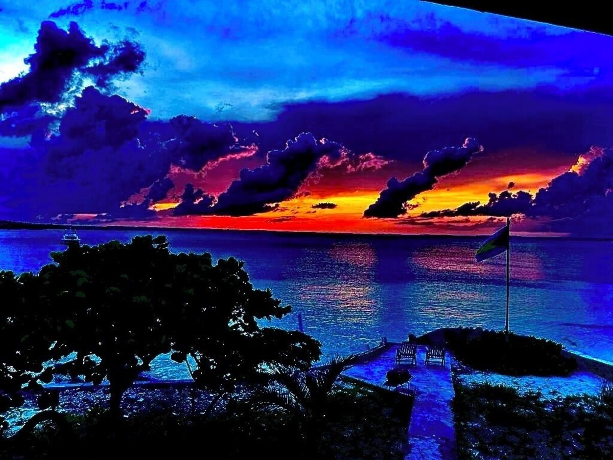 Imagen de perfil del propietario o de la propietaria