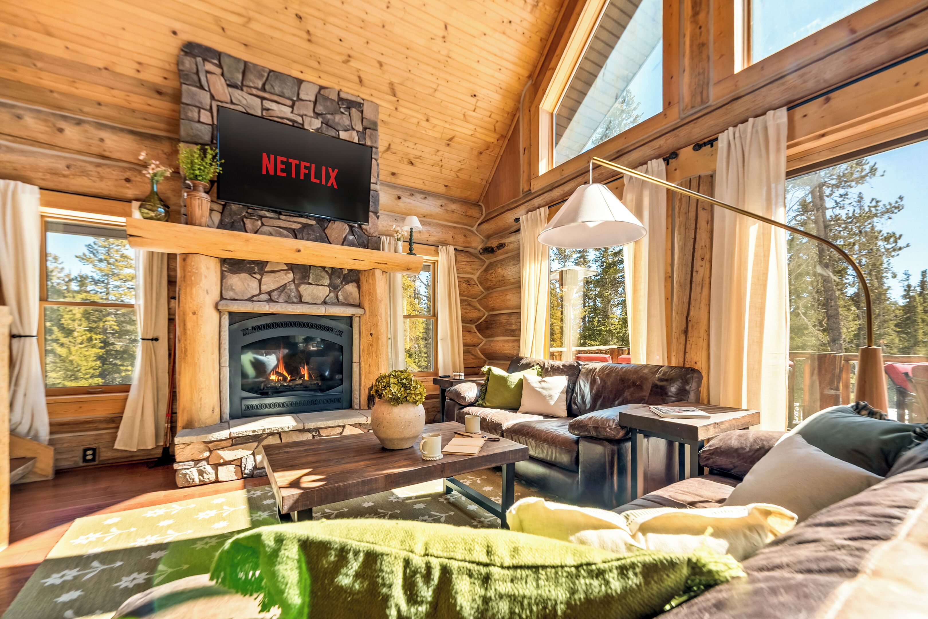 TV, fireplace