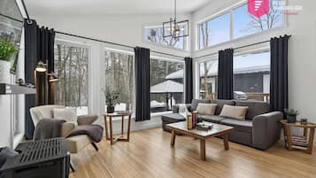 Smart-TV, Kamin