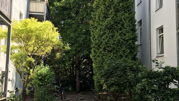 施設の敷地