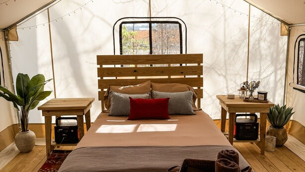Una habitación con carpa, una cama, mesas de madera y plantas en macetas.