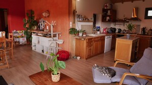 Un salon chaleureux avec un canapé, un chat qui y fait la sieste et une table à manger en bois agrémentée d’une plante.