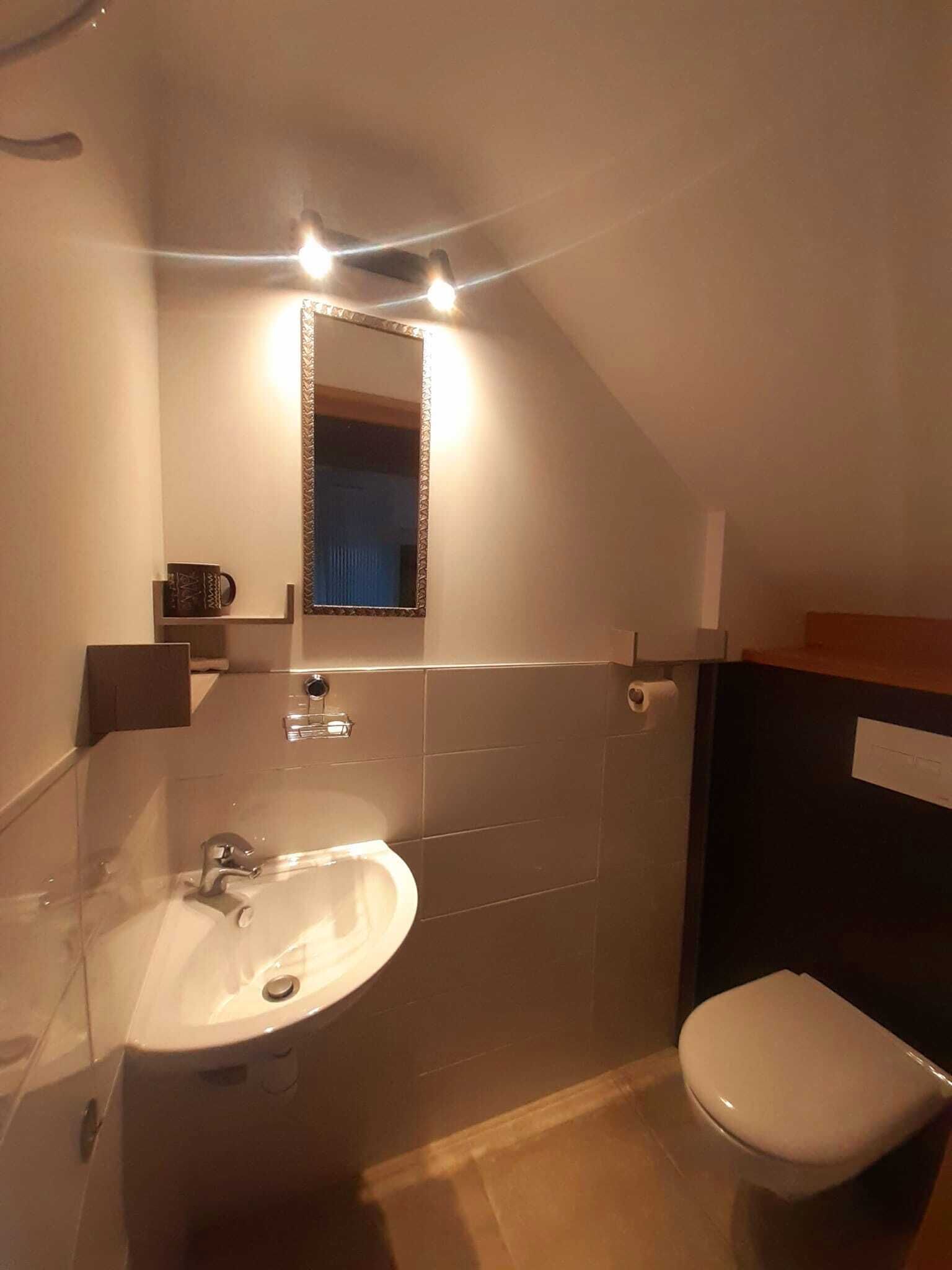 A modern bathroom with a large sink, a toilet, and a mirror.