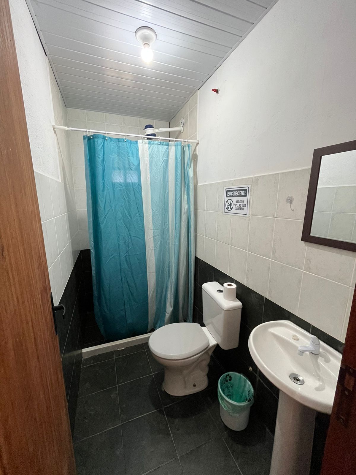 A small bathroom with a toilet, sink, and shower curtain.
