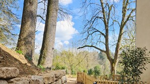 An outdoor dining area with a table set for two, surrounded by trees and a stone wall.