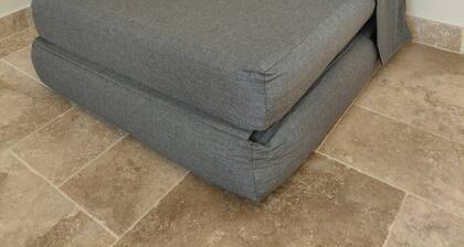 View of the pond and cows.