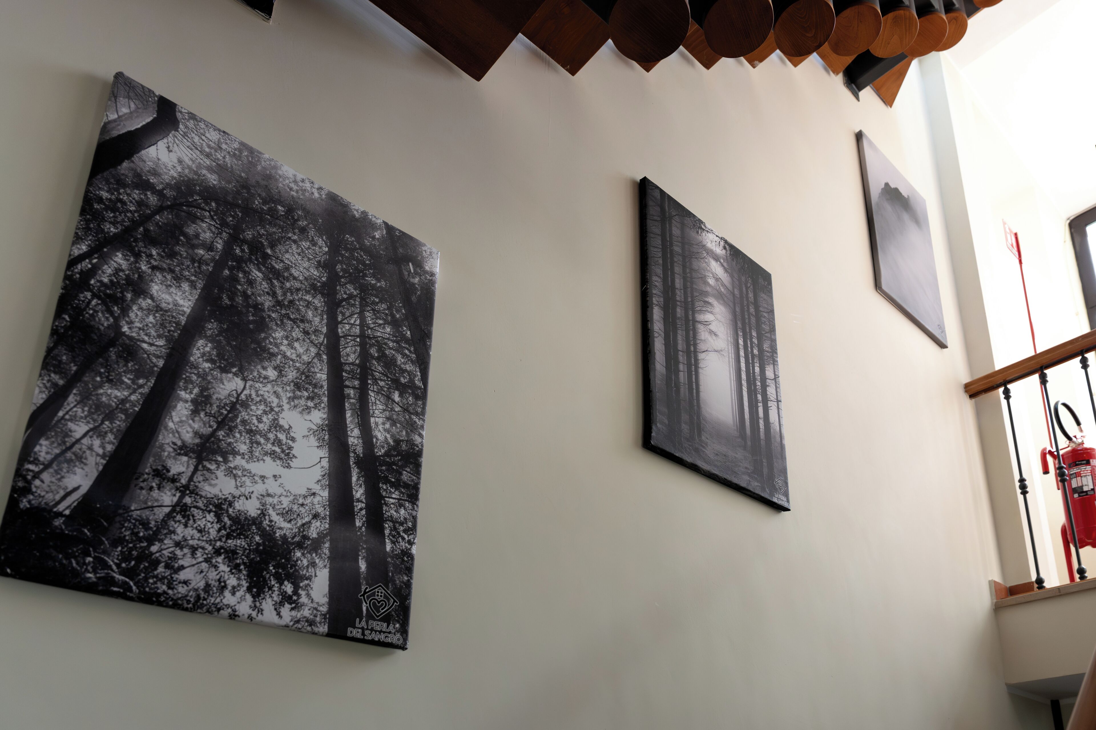 Una pared con tres cuadros enmarcados que muestran escenas de bosque.