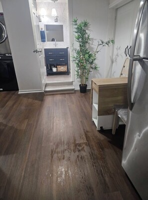 Una cocina con piso de madera, un refrigerador, un lavamanos, un armario y una planta en maceta.