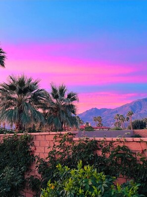 Property grounds - Platinum Luxury @ PGA West (La Quinta)