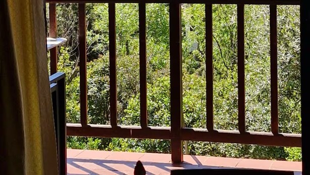 Een balkon met uitzicht op een meer en bomen.