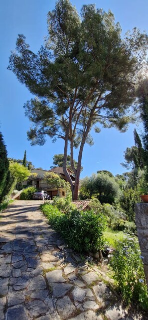 Property grounds - Beautiful family home with sea view (Carqueiranne)