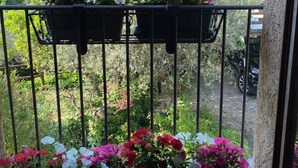 Un balcon agrémenté de jardinières et offrant une vue sur un paysage verdoyant, avec des maisons en arrière-plan.