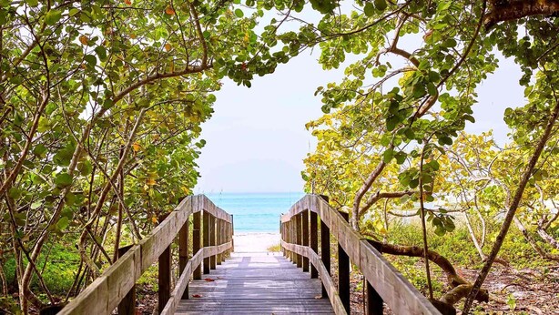 A wooden boardwalk leading to a beach, surrounded by trees. - Cozy 2-bedroom condo with AC in charming Bonita Springs (Bonita Springs)