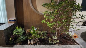 Un espace paysager aménagé avec différentes plantes et un petit arbre, un mur en bois et un bac à fleurs en béton orné d’une statue.