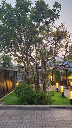 Un patio arbolado con un sendero empedrado y un muro bajo.