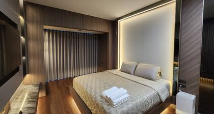 Premium Fully Furnished house + Free Driver 50 km/Day