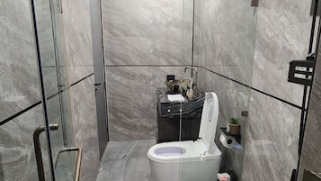 Shower, hair dryer, bidet, towels
