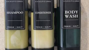 Shower, hair dryer, towels, shampoo