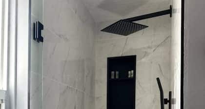 Renovated 2 Bedroom Apt Central Hamilton