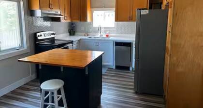 Renovated 2 Bedroom Apt Central Hamilton