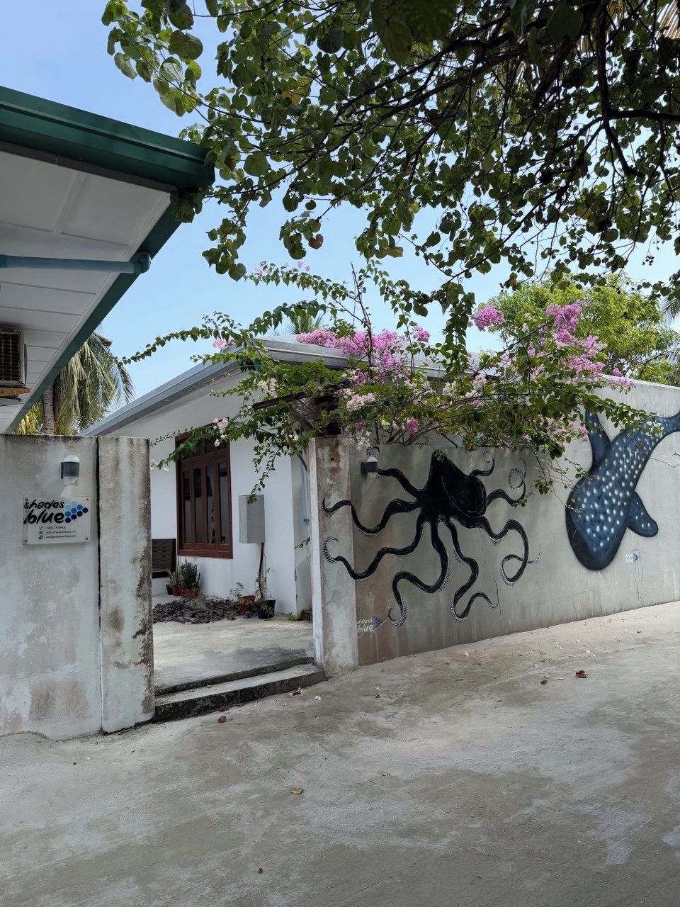 A building with a concrete facade, a door, and a wall with a mural of an octopus.