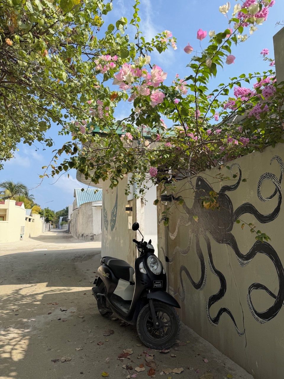 واجهة المنشأة
