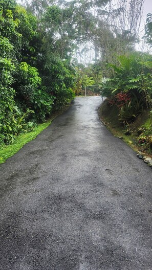 Property grounds - Mi Verde Horizonte "Panoramic view in Utuado | Nearby river + Nature + WiFi". (Utuado)