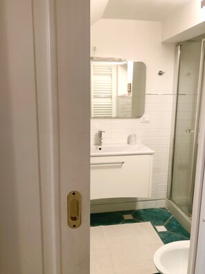 Regadera, secadora de cabello, bidet, toallas 