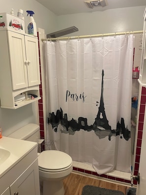 Ducha, secador de pelo, toallas y papel higiénico