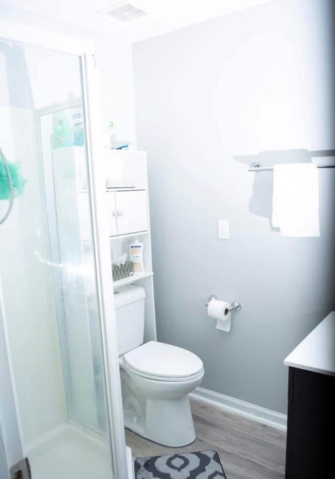 Chuveiro, toalhas de banho, papel higiênico 