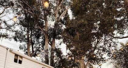 Cozy Glamping Retreat • Sleeps 4 • Family Fun or Romantic Getaway