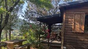 Una cabaña rústica de madera con un porche, rodeada de árboles y una mesa de picnic.