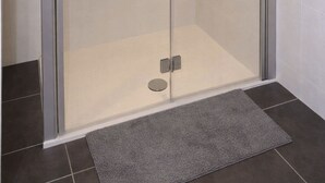 Een douchecabine met een handdouche en een vaste douchekop.
