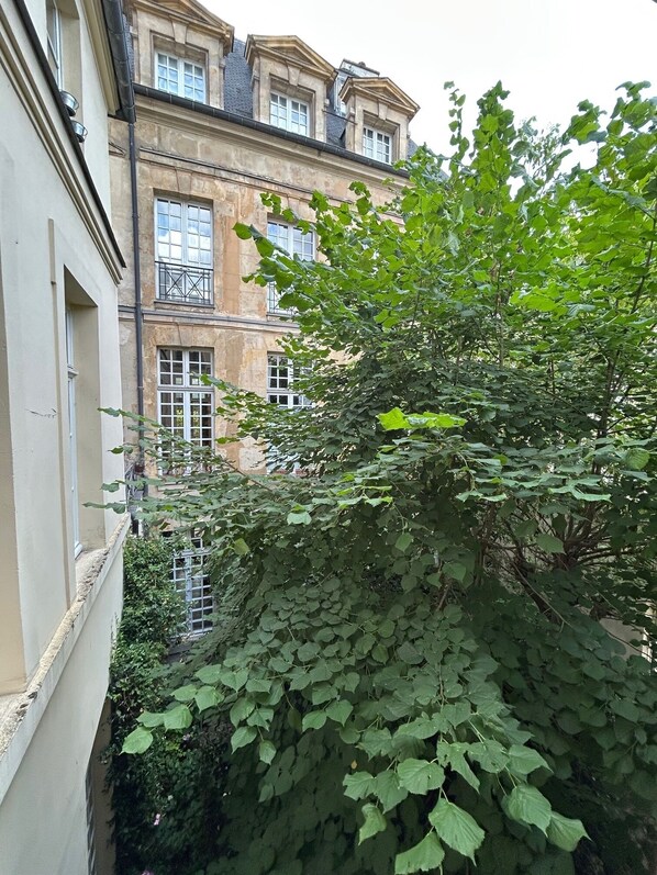 Property grounds - Serene garden apartment in le Marais (Paris)
