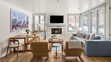 TV, fireplace, books
