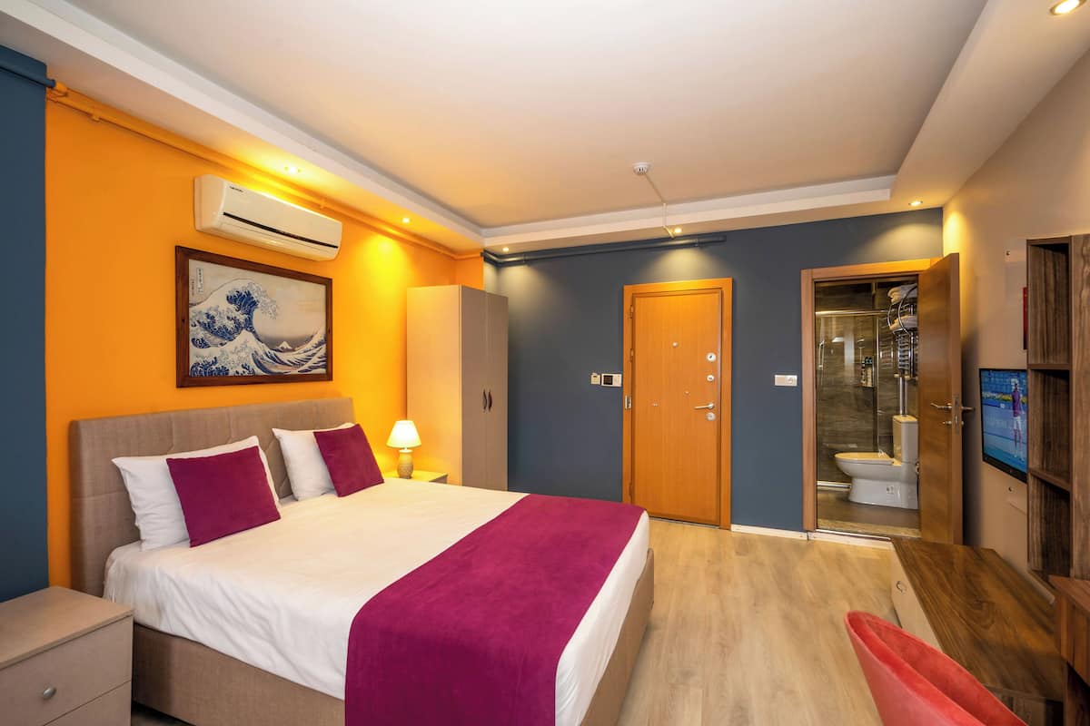 A modern hotel room with a large bed, an air conditioning unit, a wooden door, a glass shower enclosure, and a television.