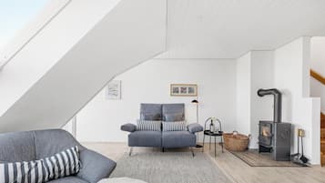 TV, fireplace, DVD player, books
