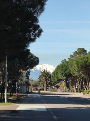 A street with trees, a crosswalk, and a mountain in the background. - L'escale Bleue, T2 apartment 300m from the beach 🏖️ in Argelès sur Mer (Argelès-sur-Mer)