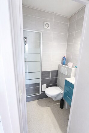 Chuveiro, secador de cabelo, papel higiênico 