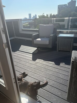 テラス / パティオ